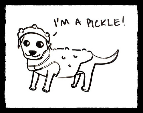 Pickle Costume for små hunder - Lightning Cat