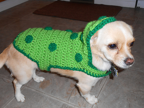 Pickle Costume for små hunder - Lightning Cat