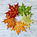 Maple Leaf pattern 
