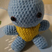 Squirtle photo 3