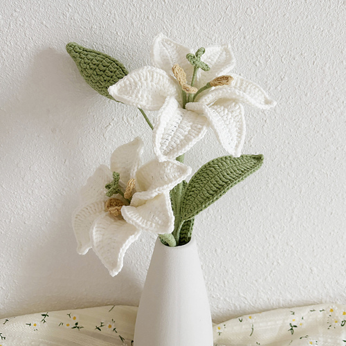 Madonna Lily