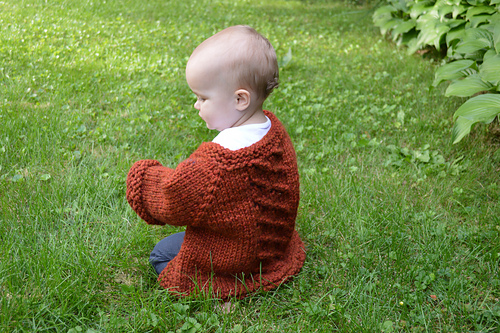 Snug as a ladybug in a rug photo 8