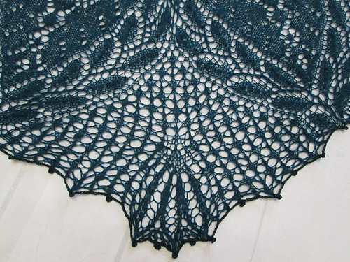 forever new shawl
