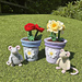 Mouse in a Plant Pot pattern 