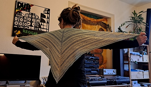 Snow Beauty Shawl
