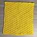 Moss on the Trail Dishcloth pattern