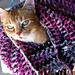 Lulu's Favorite Cowl pattern