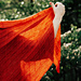 Quiet Company Shawl pattern 