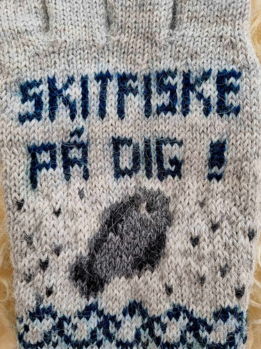 Skitfiske / fiskelycka - Liselott Daun