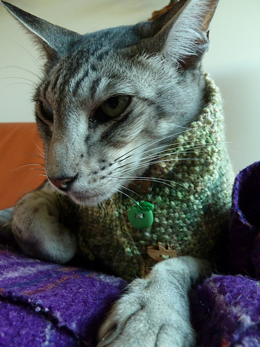 The Triangle Cowl for Tiny Creatures photo 12