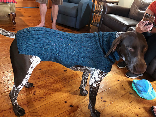 Miro is wearing the vest knitted by Diane who kindly accepted to test knit this pattern :hearts: