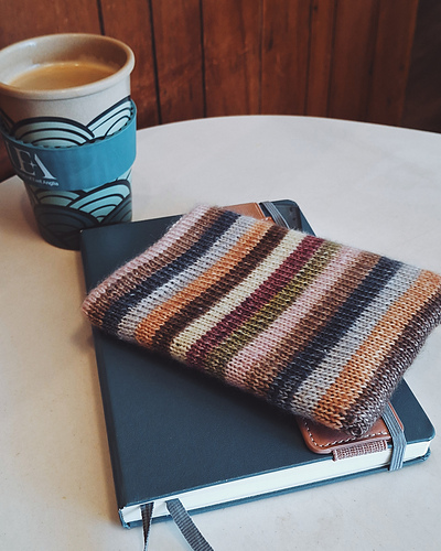 Kindle Sock