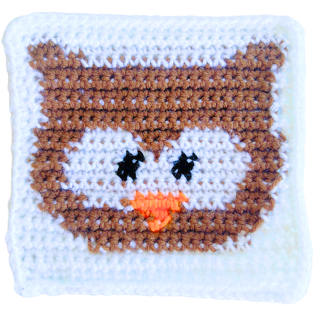 Owl square