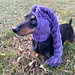 Purple Dragon Braid Dog Hat pattern 