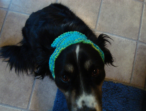Dog Ear Hat photo 4