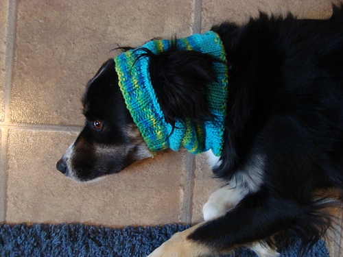 Dog Ear Hat photo 1