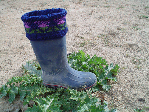Muir Glenn Thistle Boot Toppers photo 7