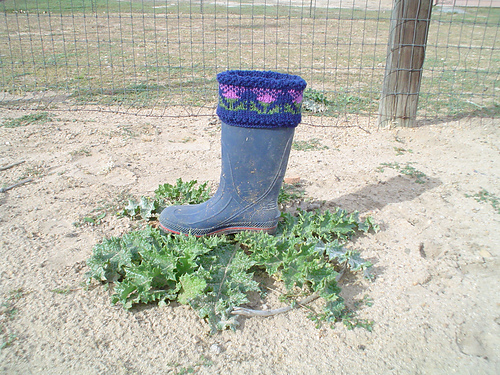 Muir Glenn Thistle Boot Toppers photo 9