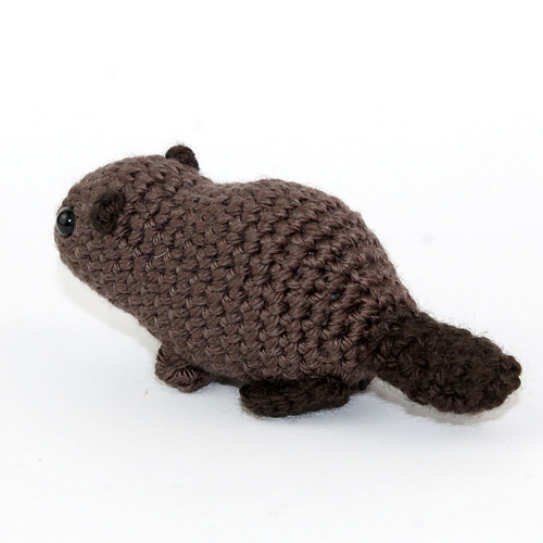 Baby bever - Kati Galusz