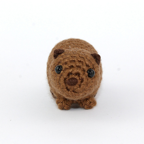 Baby bever - Kati Galusz