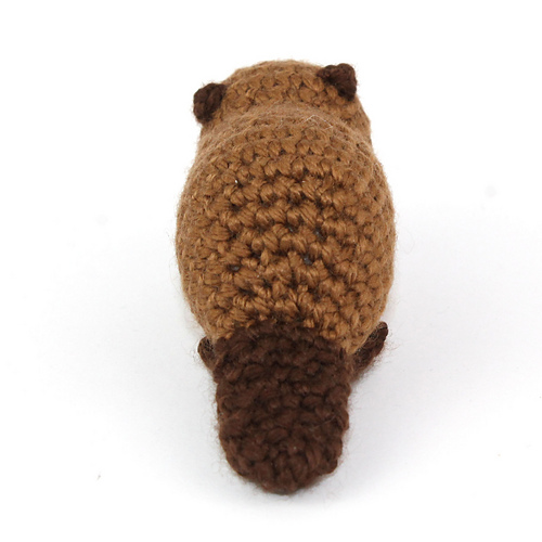 Baby bever - Kati Galusz