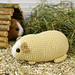 Chubby guinea pig pattern 