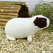 Hungry guinea pig pattern 