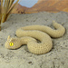 Horned viper pattern 