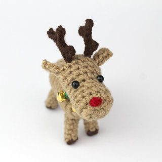 the reindeer with bigger, wider set eyes