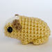 Newborn Guinea Pig photo 4