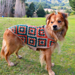 Scottish Cape pattern 
