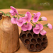 Sweet Pea pattern 