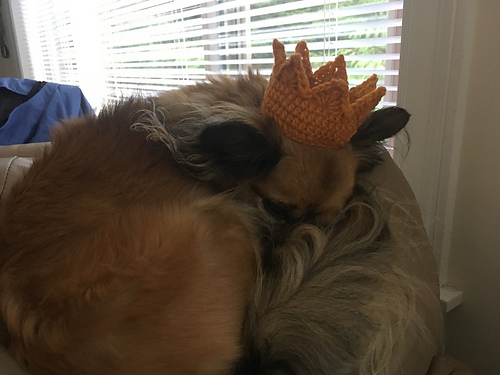 Kattkrona - byMATILDA67