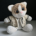 TS Folklore Cat pattern