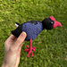 Australasian Swamphen pattern