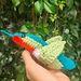 Wingspan birds pattern