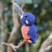 Azure Kingfisher pattern
