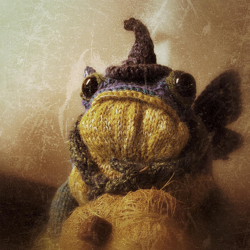 Toad Witch Hat and Cape photo 8