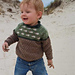 Fåretrøje pattern 