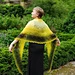Chasing Butterflies Shawl pattern 