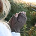 Wily Handwarmers pattern 