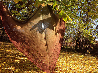 oaklet shawl