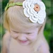 Romantic Irish Rose pattern 