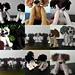 Woolen Spaniel pattern 