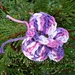 Little Ties Butterflies pattern 