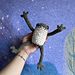 Poseable Frog pattern 