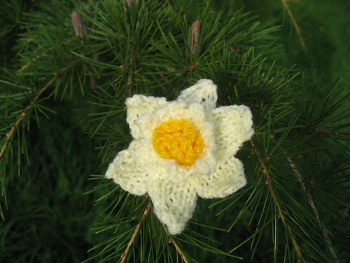 Knitted Daffodil photo 1
