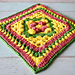 Minerva Granny Square photo 4