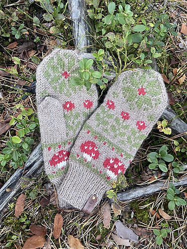 Autumn Mushroom Mitttens