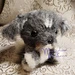 Chibi Puppy pattern 
